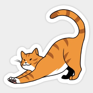 Orange Stripe w/ White Cat Stretch Sticker